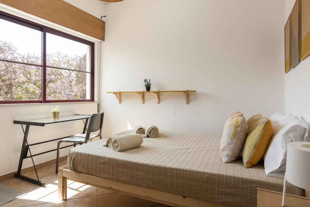 פארו Casa Jardim II - City Center By Hd Properties מראה חיצוני תמונה